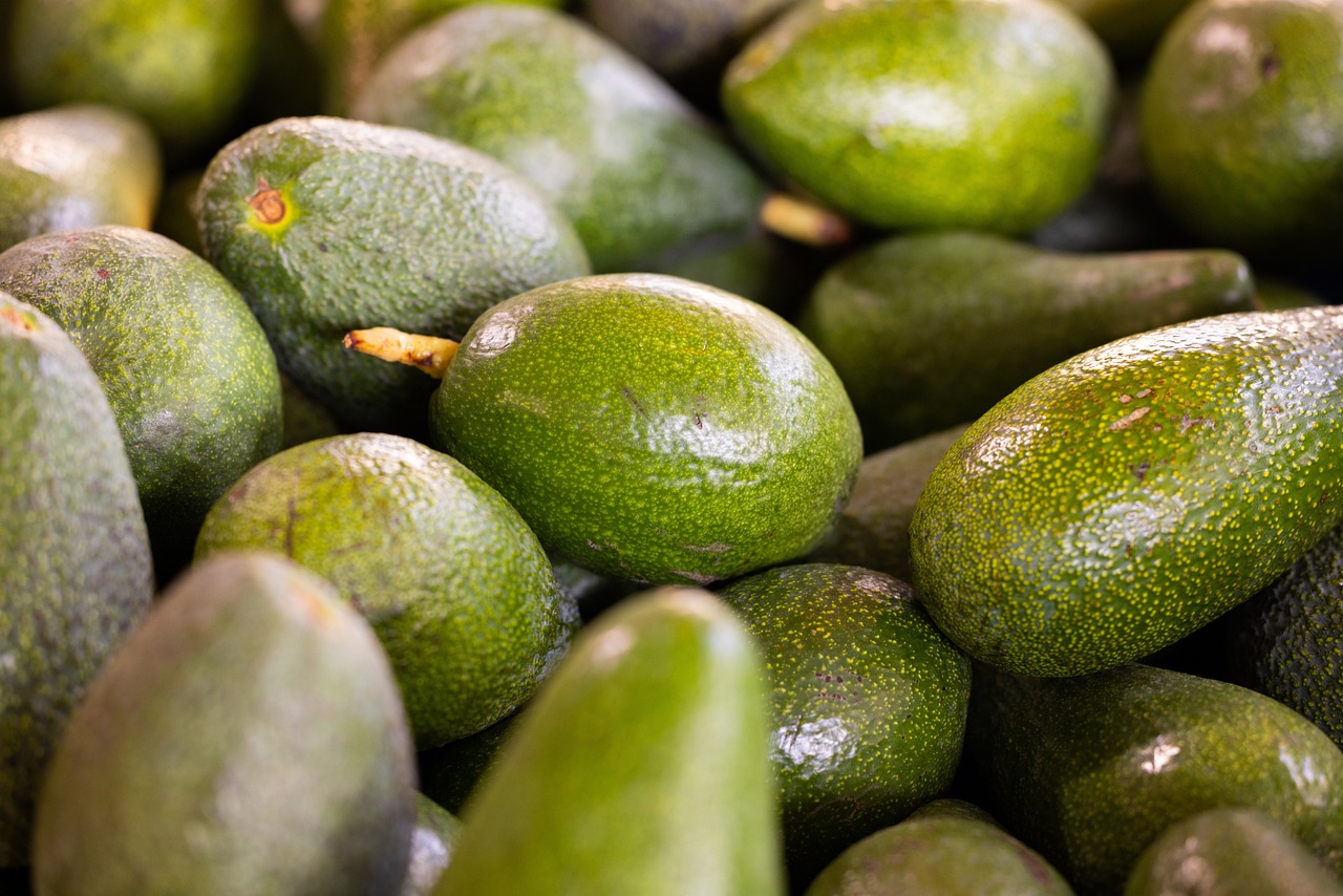 Organic Farming – Key to Eco-friendly Agriculture?
